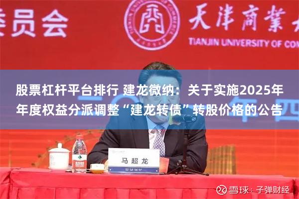 股票杠杆平台排行 建龙微纳：关于实施2025年年度权益分派调整“建龙转债”转股价格的公告