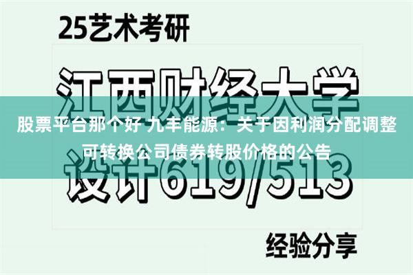股票平台那个好 九丰能源：关于因利润分配调整可转换公司债券转股价格的公告