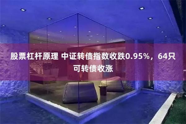 股票杠杆原理 中证转债指数收跌0.95%，64只可转债收涨