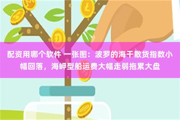 配资用哪个软件 一张图：波罗的海干散货指数小幅回落，海岬型船运费大幅走弱拖累大盘