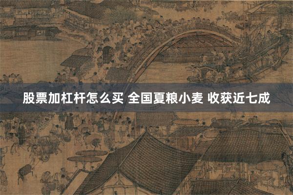 股票加杠杆怎么买 全国夏粮小麦 收获近七成