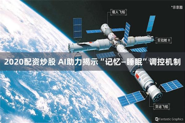 2020配资炒股 AI助力揭示“记忆—睡眠”调控机制