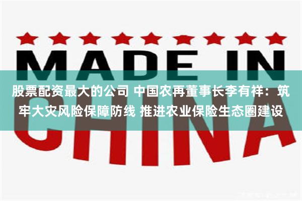 股票配资最大的公司 中国农再董事长李有祥：筑牢大灾风险保障防线 推进农业保险生态圈建设