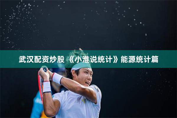 武汉配资炒股 《小淮说统计》能源统计篇