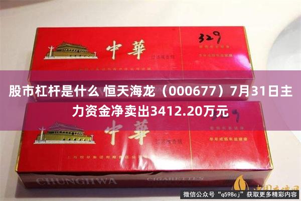 股市杠杆是什么 恒天海龙（000677）7月31日主力资金净卖出3412.20万元