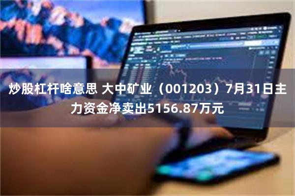 炒股杠杆啥意思 大中矿业（001203）7月31日主力资金净卖出5156.87万元