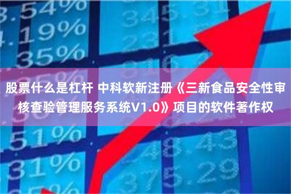股票什么是杠杆 中科软新注册《三新食品安全性审核查验管理服务系统V1.0》项目的软件著作权