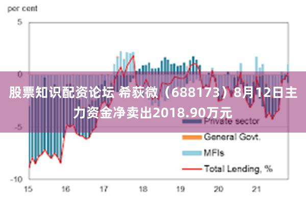 股票知识配资论坛 希荻微（688173）8月12日主力资金净卖出2018.90万元