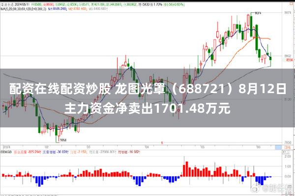 配资在线配资炒股 龙图光罩（688721）8月12日主力资金净卖出1701.48万元