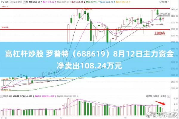 高杠杆炒股 罗普特（688619）8月12日主力资金净卖出108.24万元