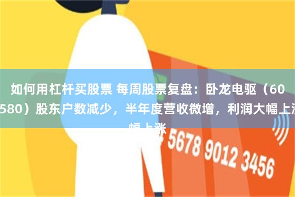 如何用杠杆买股票 每周股票复盘：卧龙电驱（600580）股东户数减少，半年度营收微增，利润大幅上涨