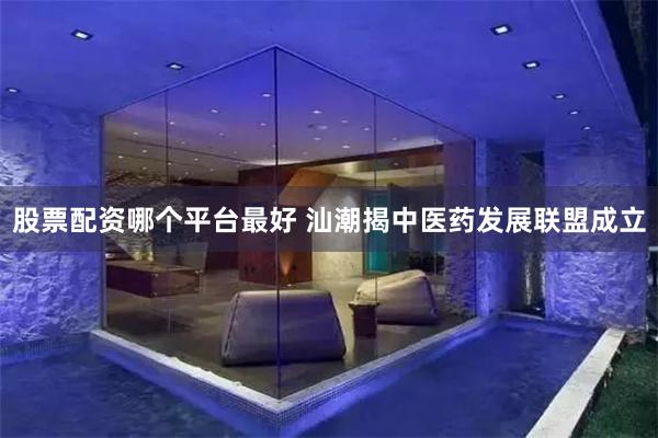 股票配资哪个平台最好 汕潮揭中医药发展联盟成立