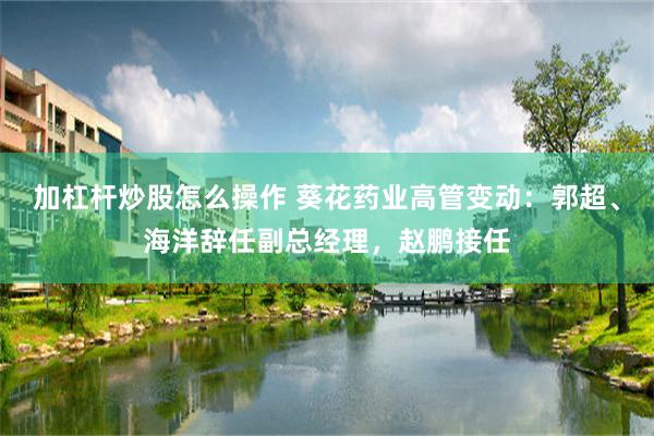 加杠杆炒股怎么操作 葵花药业高管变动：郭超、海洋辞任副总经理，赵鹏接任