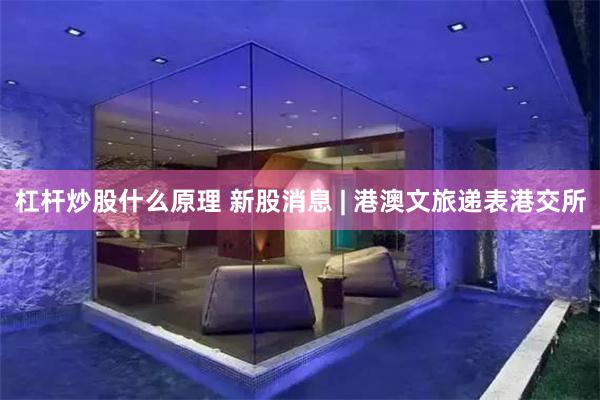 杠杆炒股什么原理 新股消息 | 港澳文旅递表港交所
