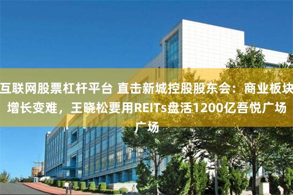 互联网股票杠杆平台 直击新城控股股东会:商业板块增长变难,王晓松要用REITs盘活1200亿吾悦广场