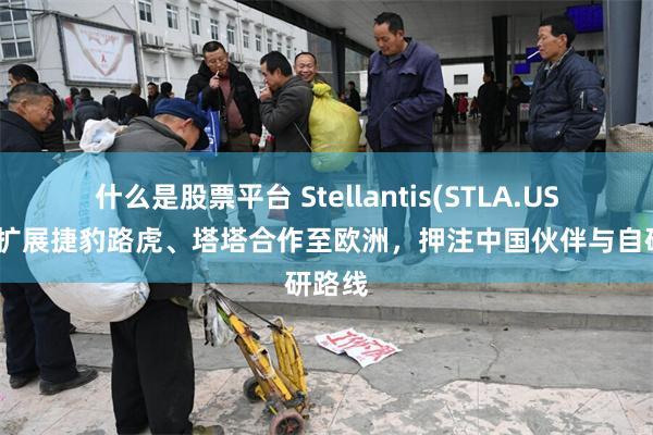 什么是股票平台 Stellantis(STLA.US)暂不扩展捷豹路虎、塔塔合作至欧洲，押注中国伙伴与自研路线