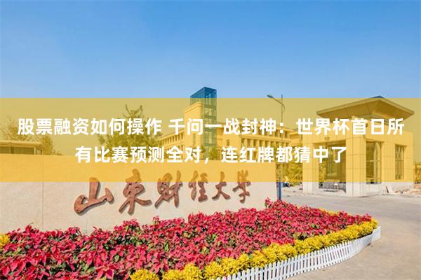 股票融资如何操作 千问一战封神:世界杯首日所有比赛预测全对,连红牌都猜中了