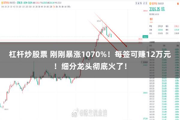 杠杆炒股票 刚刚暴涨1070%！每签可赚12万元！细分龙头彻底火了！