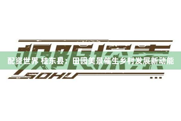配资世界 桂东县：田园美景催生乡村发展新动能