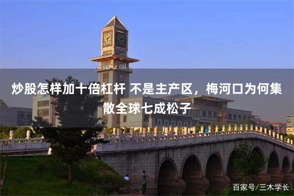 炒股怎样加十倍杠杆 不是主产区，梅河口为何集散全球七成松子