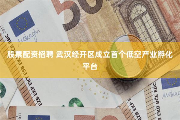 股票配资招聘 武汉经开区成立首个低空产业孵化平台