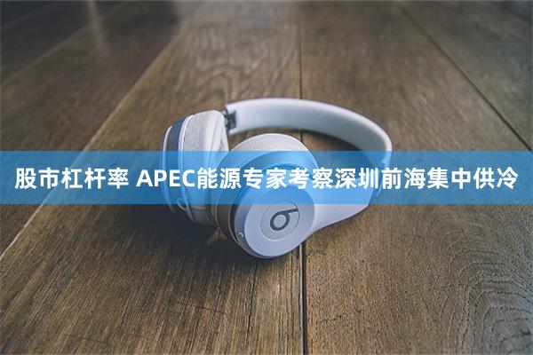 股市杠杆率 APEC能源专家考察深圳前海集中供冷