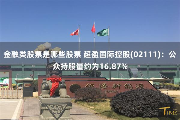 金融类股票是哪些股票 超盈国际控股(02111)：公众持股量约为16.87%