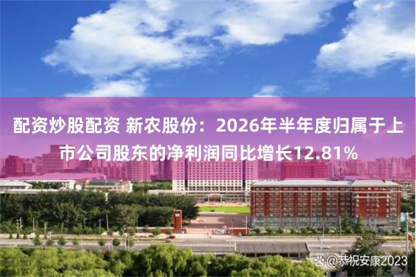 配资炒股配资 新农股份：2026年半年度归属于上市公司股东的净利润同比增长12.81%