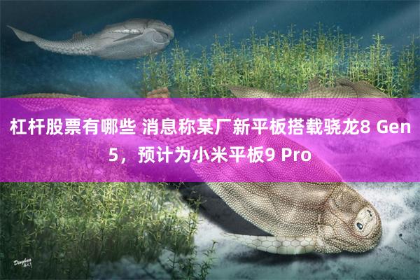 杠杆股票有哪些 消息称某厂新平板搭载骁龙8 Gen5，预计为小米平板9 Pro