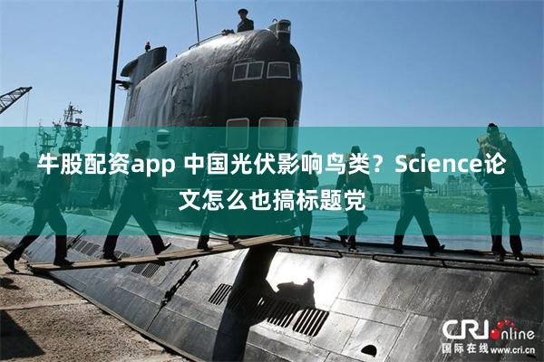 牛股配资app 中国光伏影响鸟类？Science论文怎么也搞标题党