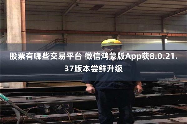 股票有哪些交易平台 微信鸿蒙版App获8.0.21.37版本尝鲜升级