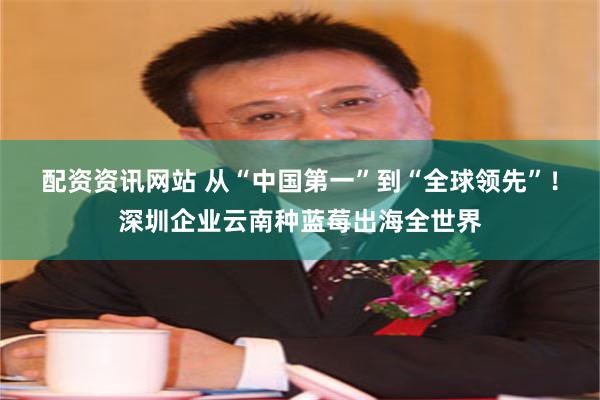 配资资讯网站 从“中国第一”到“全球领先”！深圳企业云南种蓝莓出海全世界