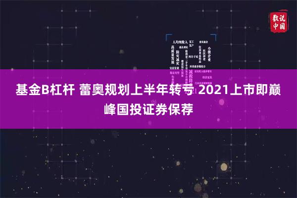 基金B杠杆 蕾奥规划上半年转亏 2021上市即巅峰国投证券保荐