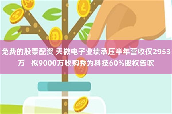 免费的股票配资 天微电子业绩承压半年营收仅2953万   拟9000万收购秀为科技60%股权告吹