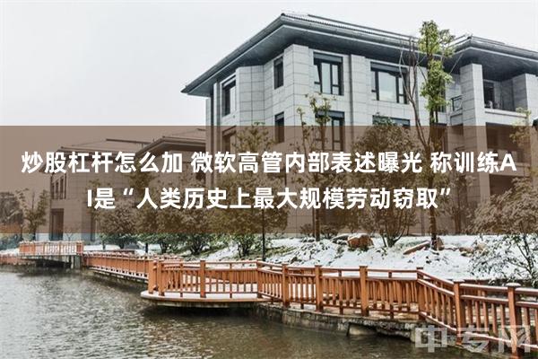 炒股杠杆怎么加 微软高管内部表述曝光 称训练AI是“人类历史上最大规模劳动窃取”