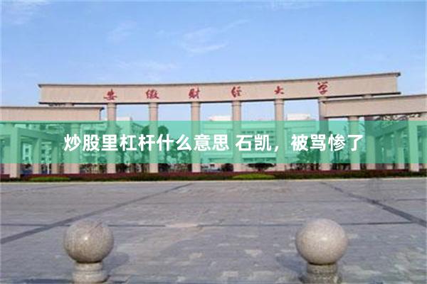 炒股里杠杆什么意思 石凯，被骂惨了