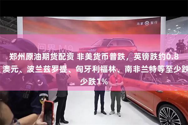 郑州原油期货配资 非美货币普跌，英镑跌约0.8%，澳元、波兰兹罗提、匈牙利福林、南非兰特等至少跌1%